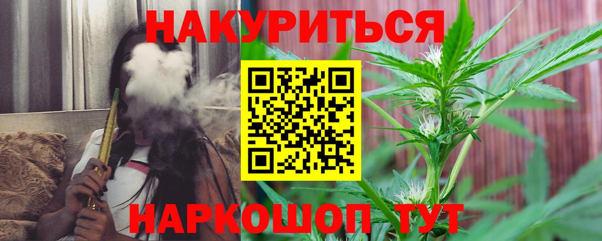 Бошки Шишки планчик Нальчик